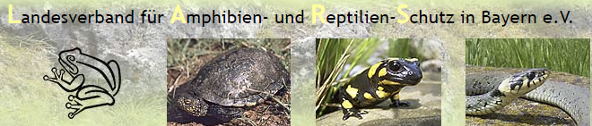 Landesverband für Amphibien- und Reptilienschutz in Bayern e.V.